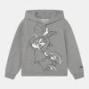 Diadora Hoodie - Hoodie - Grey Melange