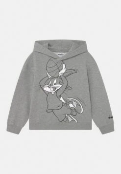 Diadora Hoodie - Hoodie - Grey Melange