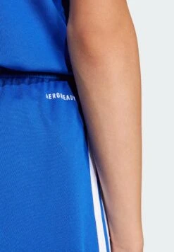 ADIDAS PERFORMANCE SQUADRA YOUTH - Shorts - Team Royal Blue White 21 ADIDAS PERFORMANCE SQUADRA YOUTH - Shorts - Team Royal Blue White -Zalando UK-Outlet 0c65901ae7e54046b41a1a41ffd28838