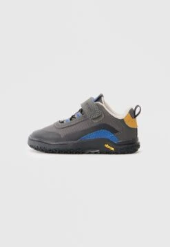 Primigi GORETEX GTX - Ankle Boots - Grigio/royal