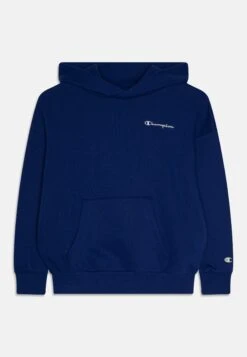 Hooded - Sweatshirt - Blue