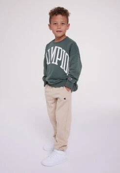 Crewneck - Sweatshirt - Dark Green -Zalando UK-Outlet 48536383e17d4a149280a854b6725215