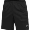 Lotto SQUADRA III 7IN - Sports Shorts - Schwarz