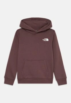 The North Face TEEN SIMPLE DOME HOODIE UNISEX - Sweatshirt - Light Grey Heather -Zalando UK-Outlet 62060fc357db4fa5b1f0441892bd2c1d