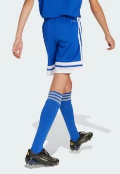 ADIDAS PERFORMANCE SQUADRA YOUTH - Shorts - Team Royal Blue White 19 ADIDAS PERFORMANCE SQUADRA YOUTH - Shorts - Team Royal Blue White -Zalando UK-Outlet 68a24264486b4c4e850beab2b26294a8