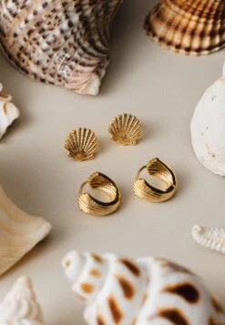 Orelia TEXTURED FAN SMALL HOOP - Earrings - Gold-coloured -Zalando UK-Outlet 739767d5950644a098bc2e03959415ca