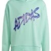 Adidas Sportswear Hoodie - Easy Green/Silver Met.
