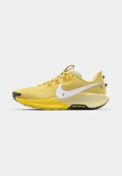 Nike Performance REACTX PEGASUS 5 - Trail Running Shoes - Brown/ironstone/college Grey -Zalando UK-Outlet 99b728dcc8a341368e1f146f64187006