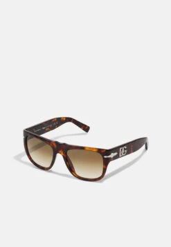 Persol X Dolce & Gabbana - Sunglasses - Havana