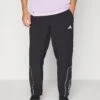 ADIDAS PERFORMANCE TECH PANT - Tracksuit Bottoms - Black/halo Silver-coloured