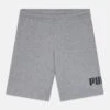 Puma LOGO UNISEX - Sports Shorts - Medium Gray Heather