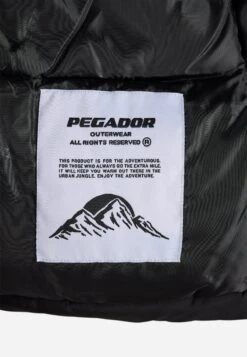 Pegador LAVOY BOXY PUFFER - Winter Jacket - Black -Zalando UK-Outlet a06f6546c3ff4522afc97986bf9e6d3f