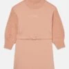 Emporio Armani DRESS - Jumper Dress - Mahogany Rose