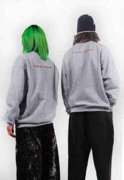 Unisex Crew Neck Blessed - Sweatshirt - Ash Grey -Zalando UK-Outlet a5b687e35c2342e6a8da559324494cad