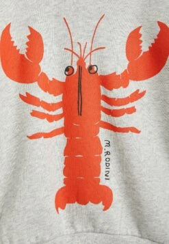 Mini Rodini Lobster Unisex - Sweatshirt - Grey Melange -Zalando UK-Outlet a6065a3a6f0943a795e09c2d937d38b2