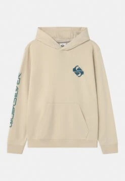 Quiksilver FlowYouth - Hoodie - Birch