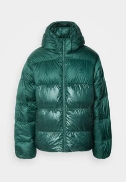 Adidas Originals ADICOLOR DOWN REGEN - Winter Jacket - Black -Zalando UK-Outlet bf24984ef7884e88976c7f0d31c2c938