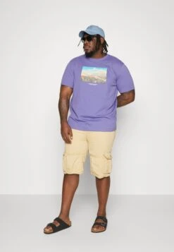 Jack & Jones Jorvesterbro Photo SsCrew Nec Pls - Print T-Shirt - Twilight Purple 8 Jack & Jones Jorvesterbro Photo SsCrew Nec Pls - Print T-Shirt - Twilight Purple -Zalando UK-Outlet cd1f801f525349368f4b2626ef344666