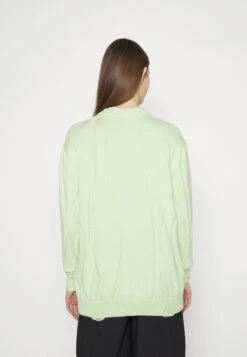 Han Kjøbenhavn Boyfriend - Jumper - Pale Green -Zalando UK-Outlet d256e078f8db45b69afc72af584578c1