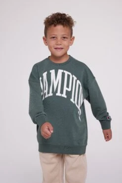 Crewneck - Sweatshirt - Dark Green -Zalando UK-Outlet e2dbfaba4fbd40989a13b58e2aecd6f1