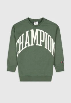 Crewneck - Sweatshirt - Dark Green -Zalando UK-Outlet f2837912535b4d3487b1ddbe99704e63
