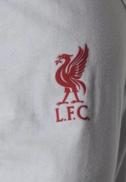 Nike Performance Liverpool Fc Knockout Tee - Club Wear - Wolf Grey -Zalando UK-Outlet fe1d0bba495646dd8d414c38eff1594f